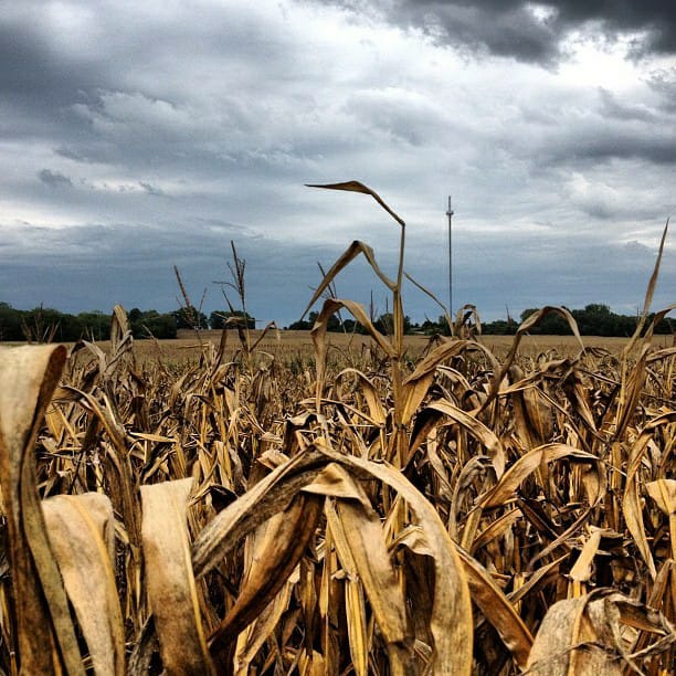 Climate Change and Agriculture: A Two Way Impact